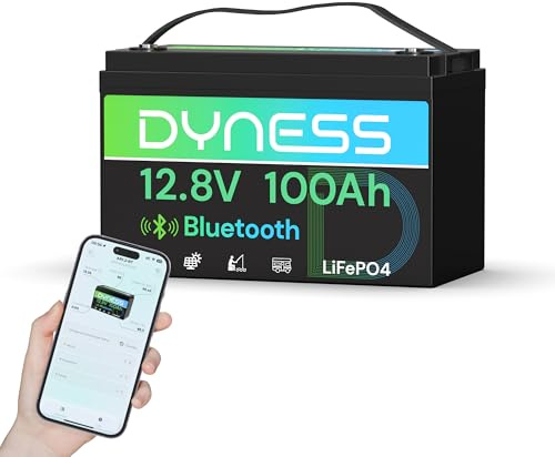 Dyness LiFePO4 12V 100Ah Lithium Batterie Bluetooth mit 100A BMS, Max.15000 Zyklen, 12V Deep Cycle Lithium Eisenphosphat Batterie für Wohnwagen, Solar Home Systeme, Boote