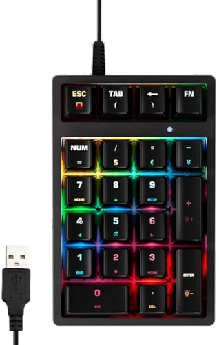 Generico Tastierino Numerico Per Computer,Multifunzionale con 17 Tasti,Pad Numerico Cablato Con Plug And Play | Per PC Desktop Notebook Analisti Finanziari Programmatori Contabili Designer Grafici