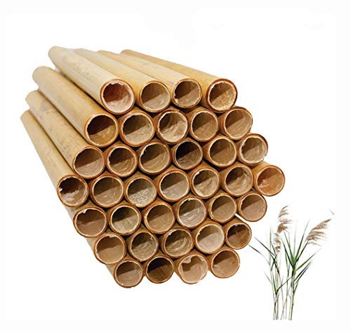 Mason Bee Röhren natürliche Schilfrohr Bienenstock-Einsätze Bestäubung Kit für Bienenhausblöcke Bienennest Home Craft röhre 100 Stück