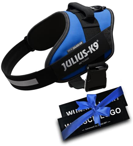JULIUS K-9 IDC Powergeschirre Blau mit individuelle Klettaufschriften Bundle optionale Größe, Kleine, mittelgroße, und große Hunde, 16IDC+CUSTOMP-B