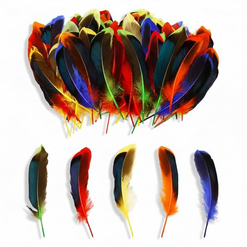 Cosyhav Feathers,100psc Colorful Craft Feathers,Feathers for Crafting,Suitable for Handicraft DIY, Home, Wedding, Party Decoration, Dream Catcher Making