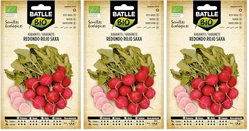 Battle - Semi Ecologici Ravanello Rotondo Rosso Saxa (120 Semi - Bio) (Confezione da 3)
