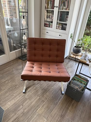 Furnwise Moderner Ledersessel für Wohnzimmer mit poliertem Edelstahlgestell (Cognac)