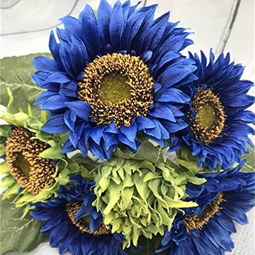 Sonnenblume, Lange Blütezeit, Riesen Sonnenblumen, Winterhart, Magic of Nature, Farbtraum, 1000pcs-j
