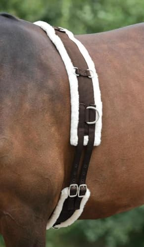 Best On Horse Fleece Padded Lunge Roller - Pony Horse Lunging Equipment with Adjustable Girth - Cob Under Belly Belt Strap for Training Schooling Outdoor Breaking Stable Yard (Full, Brown)