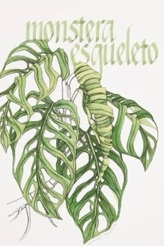 Monstera esqueleto