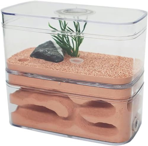 Ameisennest, AntHouse Gips Formicarium Ameisenfarm Display Box Insektenvilla Workshop Ameisen Fütterung Wissenschaft Bildungs-1