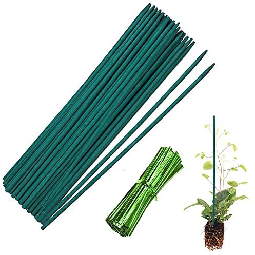 Plant Support Sticks, 50Pcs 30cm Green Bamboo Sticks and 50 Adjustable Plant Ties, Pea Sticks Green Plant Stake for Garden Small Plant Support