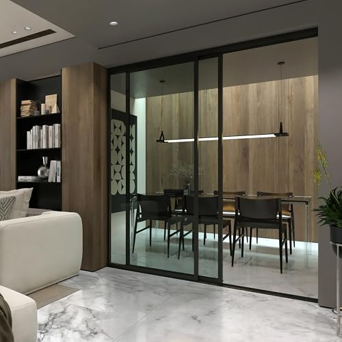 Doors 55 Glass Room Divider Panel and Partition Wall, Partition Wall Divider & 2 Panel Room Divider - Perfect Wall Divider for Room Separation & Partition Room Dividers (Clear Glass, 60x80)