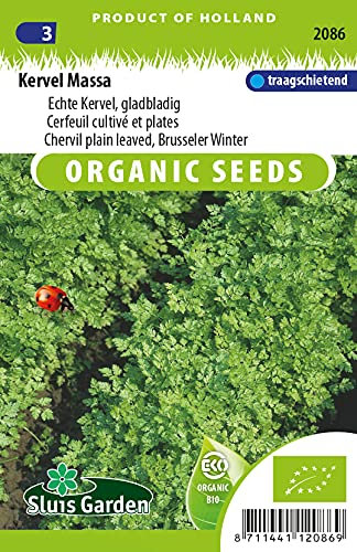 Cerfeuil cultivé et plates Massa - Graines Biologiques