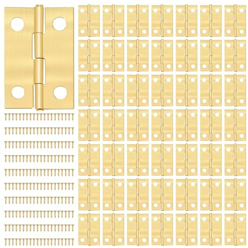 Tunejoy Petites Charnières Mini Charnière avec Vis Charnière Miniature pour DIY Boîte Modèle Jouet Ouvrages D'art Artisanat 24 * 16mm 50 Pièces Doré