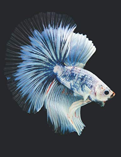 Aquarium Tagebuch: Planer, Notizbuch, Bestandsbuch, Futterplan für alle Auqarianer und Aquaristik Fans ♦ Logbuch für über 100 Einträge ♦ A4+ Format ♦ Motiv: Weißer Fisch