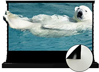 VIVIDSTORM Since 2004-Projector Screen,Pearlescent Cinema White Plus Screen,Black Housing Motorized Floor-Rising Projection Screen,VSDSTZW72H