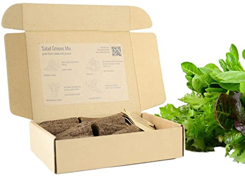 PlantPlugs Salad Quartet Pack of 8