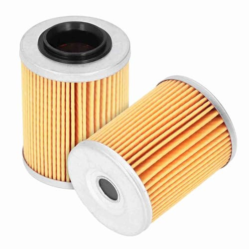 Filtres à Huile Moteur 0800‑011300 pour Quad CF Moto CForce UForce ZForce 2012‑2018 Accessoires de Remplacement du Moteur Installation Facile Lot de 2