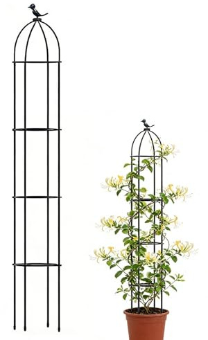 Treillis pour en Pot – Supports décoratifs antirouille pour Monstera – pour Jardin, Ferme, terrasse, clématite, Fruits, Raisin, Rose, Tomate, légume