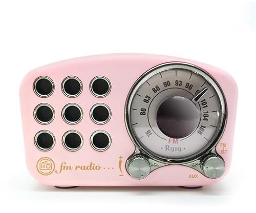 Mini Altavoz Bluetooth de diseño Retro y Radio FM R919-B - Rosa