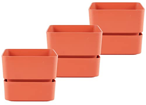 ECOMACETAS FLOWERPOT STORE Maceta Suculentas Pequeña Cuadrada, con Plato de Plástico. Mini Maceta, Tiesto pequeño. (3, 12 cm)