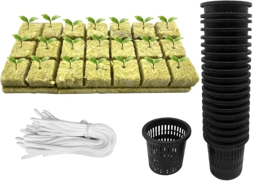 61 Stück Hydrokultur Pflanzen Net Kit - 20 Stück 3inch(8cm)-Topfbecher mit geschlitztem Netz, 21Stück Steinwolle Anzucht, 20 Stück Artikel Selbstbewässernde Dochtschnur aus Baumwolle für Hydrokultur
