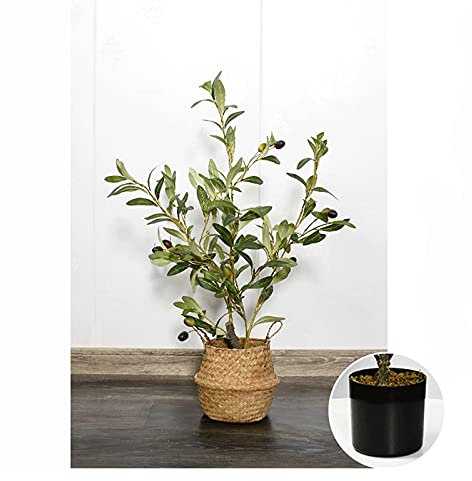 Künstliche Topfpflanzen 23 Zoll künstlicher gefälschter Olivenbaum, mit schwarzem Kunststoff-Blumentopf für drinnen oder draußen s