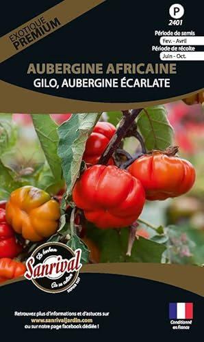 Graines potagères Premium Aubergine Africaine