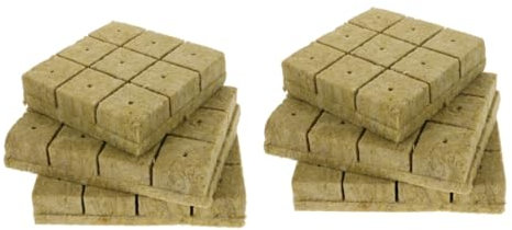 PartyKindom 2 Set di Fornitura di Pannelli Idroponici per Vasi di Radicazione Germogliazione Pre-Coltivazione Senza Accessori per Principianti Kit di Avviamento per Basilico Mini