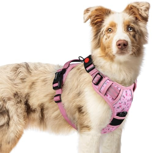 rabbitgoo Dog Harness Medium, No Pull Vest with Neck Release Buckle | Easy to Wear, No-Choke Adjustable Fit, Soft Padded, Reflective, 2 Lead Rings, Large Control Handle, M, Floral Pink