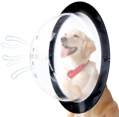 Finestra di recinzione per cani - Bubble Pet Visualizza cupola, porta per cani acrilico chiaro | Fori di sfiato 'aria Inserto per recinzione per animali