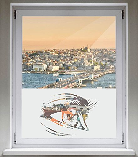 INDIGOS UG Sichtschutzfolie Glasdekorfolie Fensterfolie mit Motiv satiniert Blickdicht - E359 Auge Gerechtigkeit - 1000 mm Länge - 500 mm Höhe Viereck - selbstklebend - matt