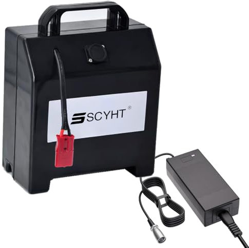 SSCYHT Batería de Litio 24 V, 12 Ah, 20 Ah, 30 Ah, 32 Ah y 15 Ah Batería Repuesto 24 V Baterías sillas Ruedas eléctricas con Cargador para Motor 250 W a 800 W,24v25ah Red Anderson