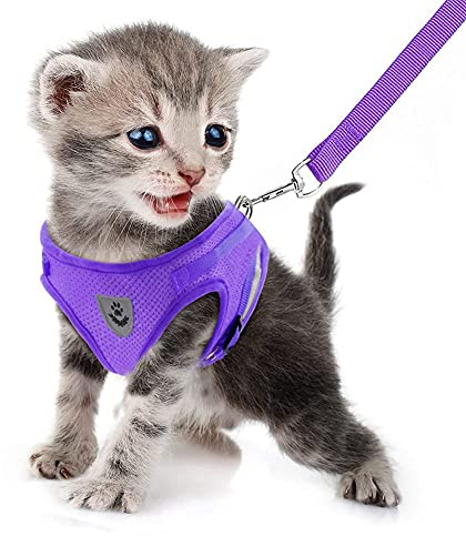 FEimaX No Pull Small Dog Harness and Leash Set, Soft Mesh Puppy Reflective Adjustable Harnesses for Walking Escape Proof Cat Kitten Step-in Breathable Vest Harness