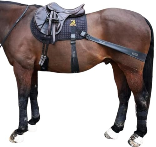 Equine Band System - Core Training Aid for Horses. Saddle Pad and Equibands System by Equine Balance Bands (Jump)