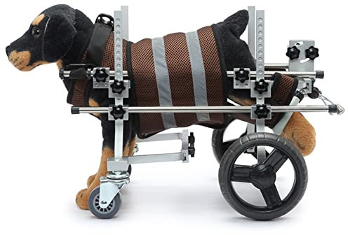 CAFIEDR Rollstuhl für Haustiere/Hunde, 4 Räder, Rollstuhl mit Hinterradstütze, zur Rehabilitation der Hinterbeine von Haustieren, für behinderte alte Hunde/Katzen(Grau)