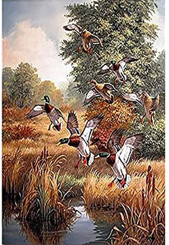 WACYDSD Puzzle Adulte 1000 Pièces Puzzle 3D Canard Colvert À La Main Bricolage Photos Art Mural Chasse Chasse Paysage De Salon De Canard