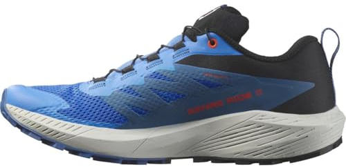 Salomon Sense Ride 5 GTX Trailrunningschuhe India Ink/Carbon/Dragon Fire UK