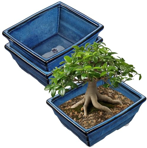 Oairse 2er-Set Bonsai Keramiktopf Bonsaischale mit Entwässerungslöchern für Japanische Bonsai Zimmerpflanzen, Retro-Dekoration für Gartenbehälter-Sets im Freien, Durchmesser Öffnung 25.5cm