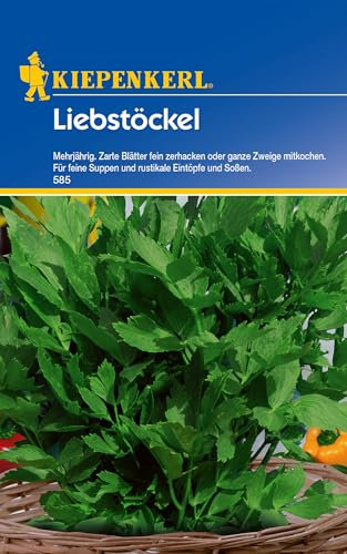 Kiepenkerl Liebstöckelsamen, mehrjährig 585 - Mehrjährig - Zarte Blätter - Inhalt für 50 Pflanzen - Kräutersamen, Saatgut, Samen Kräuter, Winterhart