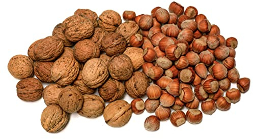 IGART Nueces 3kg + Avellanas 2kg | MIX | Natural | Sabroso | OMEGA-3 | Cosecha 2024 | Deliciosas Nueces Maduras