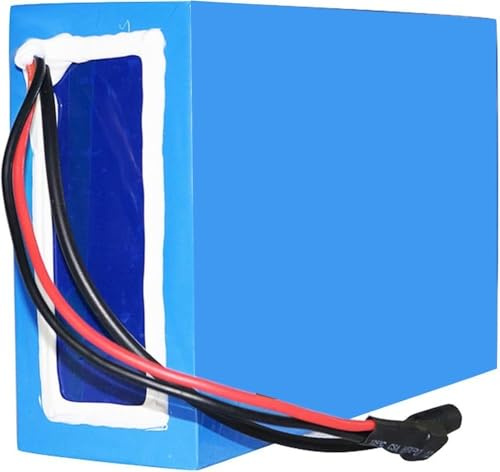 Batería De Bicicleta Eléctrica De 48 V 30 AH Batería De Litio De Alta Capacidad Batería De Bicicleta Eléctrica De 48 V 30 AH con Placa De Protección para Motor De 1000 W