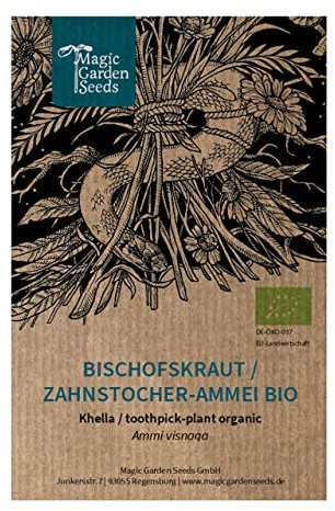 Bischofskraut/Zahnstocher-Ammei (Ammi visnaga) Bio - ca. 290 Samen zweijährige Wildblume Schnittblume Heilpflanze Bienenweide