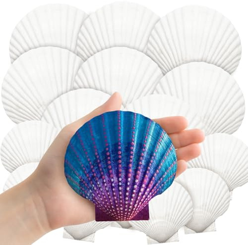 Auiremrti 18 Conchas Naturales, 2 tamaños en Gran Paquete Conchas Blancas para Manualidades, Pintura, repostería y decoración de Verano, Playa