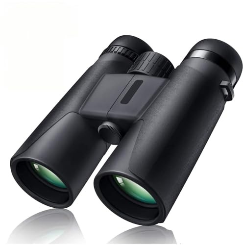 Jumelles Professionnelles 10x42, Compactes, Étanches, Vision Nocturne Basse pour Observation des Oiseaux, Chasse, Concerts, Voyages