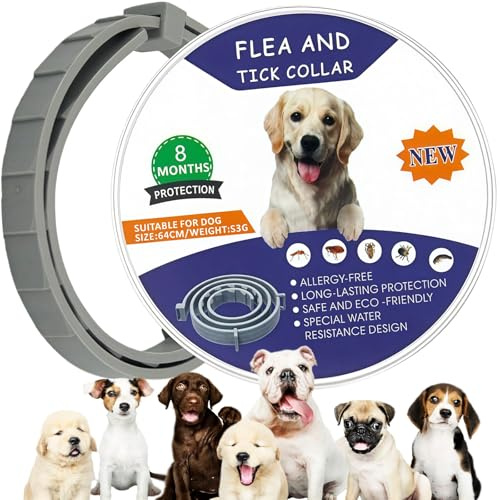 Dog Collar with Mild Essential Oils, Waterproof Dog Collar Helps Fend Off Skin Irritations, 16 Months Shielding, Comfortable Fit for Dogs 8 Weeks+