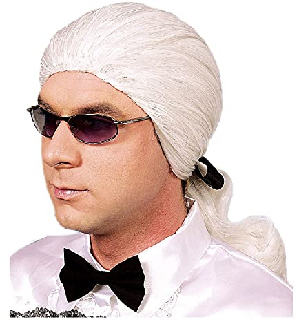 PAPSTAR NEU Perücke Herren Fashion Karl mit Zopf, weiß - mit Haarnetz