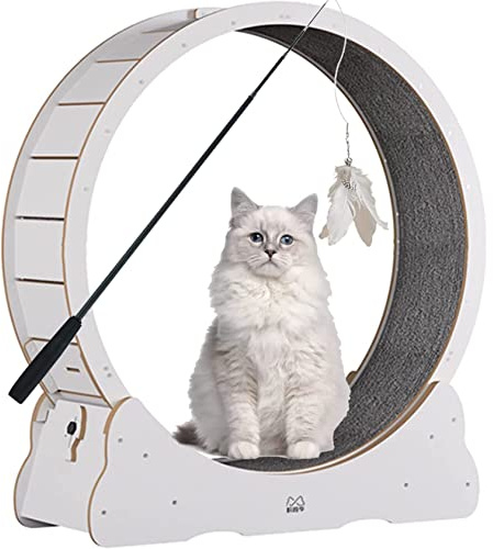 Katzenlaufrad, leises Laufrad Laufband für Indoor-Katzen, Sportspielzeug, groß mit Sicherungsstift und Teppich, Trainingsgerät Katzen, Schwarz-L