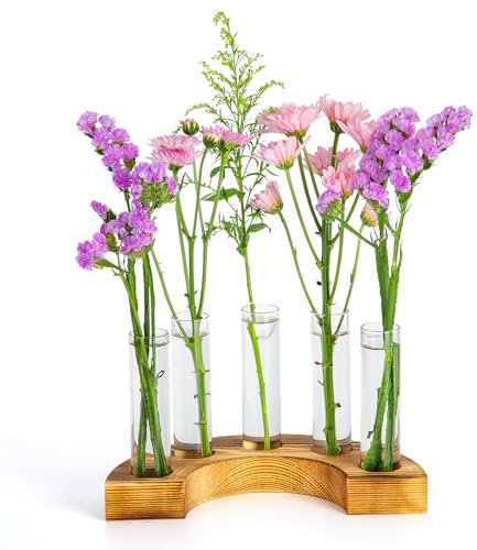 E-ROOM TREND Plant Propagation Station | Terrarium With Wood Stand | Hydroponics Home Office Garden Decor | Planter Lover Gifts (PTW500) | 5 Test Tube Glass Vases