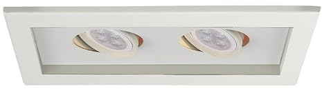 WAC Low Voltage Multiples Recessed Two Light Trim in White and Two White 8W 500 Lumens MR16 LED Lamp, MT-216HS Housing Sold Separately