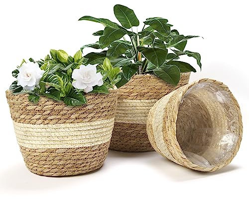 Athaliah Plant Basket, 3 PCS Plant Baskets Indoor with Plastic Liner, Water Hyacinth and Corn Stalk Woven Planters Flower Basket, Planter Basket for Rustic Home Floor Potted Pots Decor