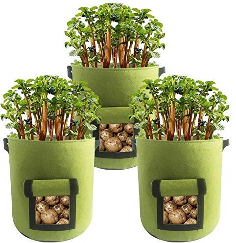 3 Stück Kartoffel Pflanzbeutel, Pflanzen Tasche mit Sichtfenster und Griffen Pflanzsack für Kartoffeln, Karotten, Tomaten (3 Stück 10 Gallonen,Grün)