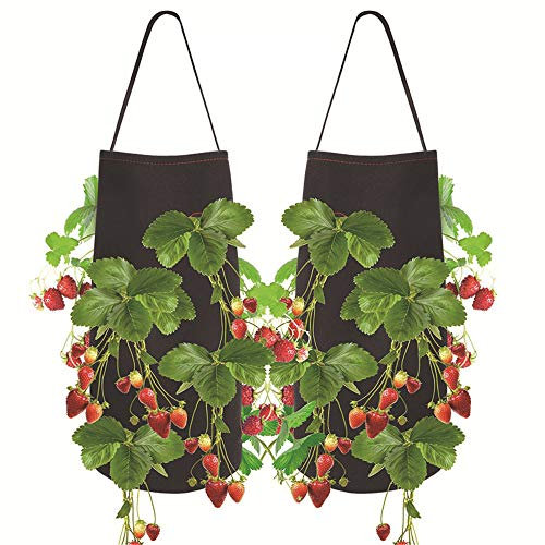 Nicole Knupfer 2 Stück Erdbeer-Pflanzbeutel, Hängend Erdbeeren Pflanztaschen aus Filz, Pflanzsack mit Löchern für Erdbeer & Tomaten (2 Stück,Schwarz)